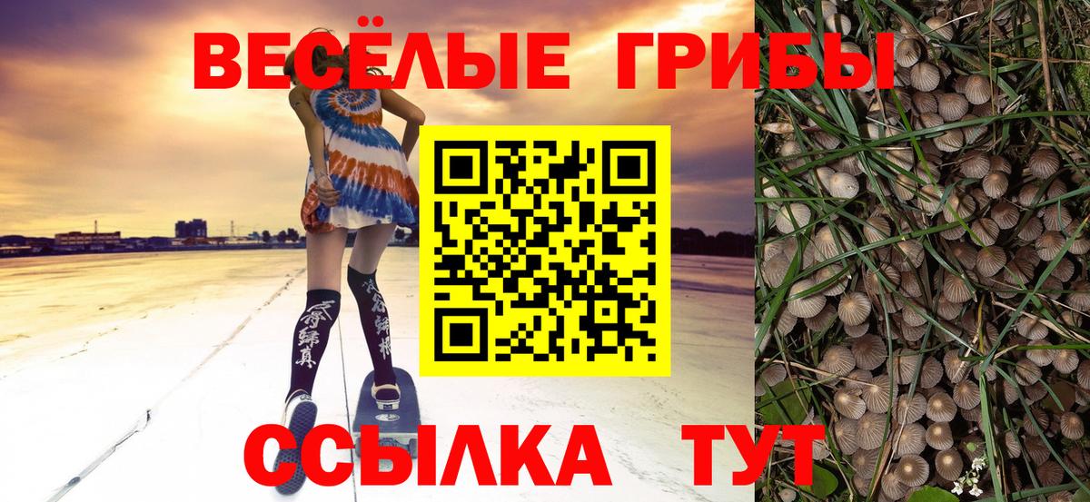 Тельмана  Псилоцибиновые грибы ЛСД  Вход с VPN 