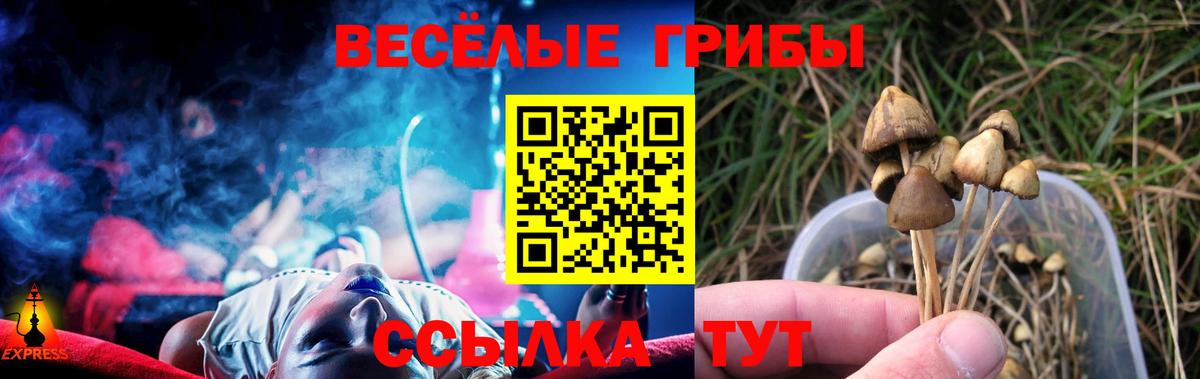Псилоцибиновые грибы мухоморы Тельмана